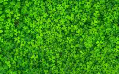 There’s No Such Thing As ‘Luck’: Understanding What “Luck Pillars” Are In Metaphysics