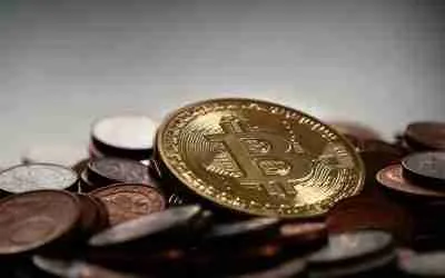 A Case Of Severe Wealth Loss Via Bitcoin – A BaZi & Zi Wei Dou Shu Case Study