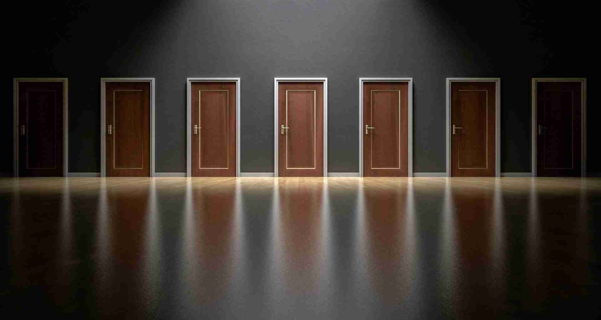 career_options_bazi_ziweidoushu