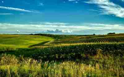 Donald Trump’s BaZi: An Yin Earth Daymaster Case Study