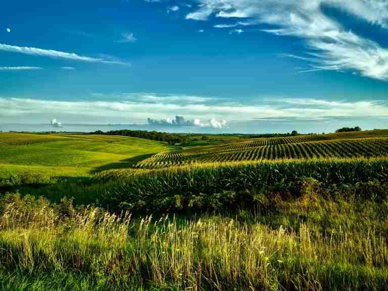 Donald Trump’s BaZi: An Yin Earth Daymaster Case Study