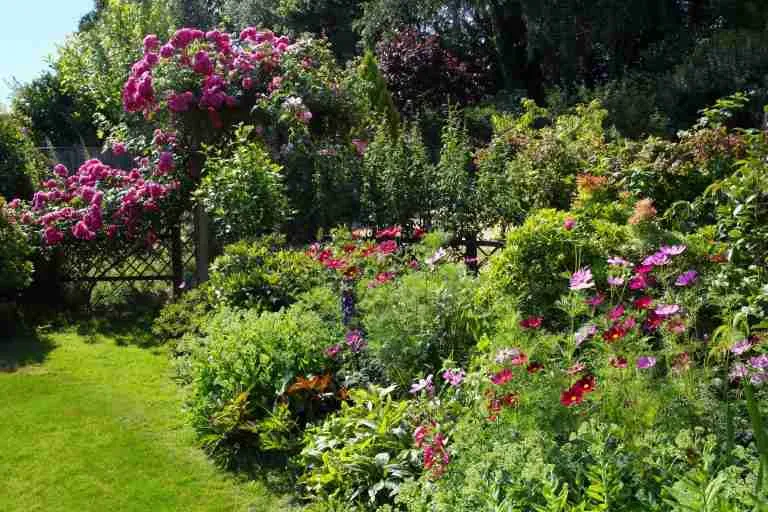 Yin Wood Daymaster Case Study: Opposites End Of The Spectrum