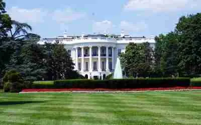 Revisiting My Qi Men Dun Jia Forecast Of 2020’s US Presidential Election