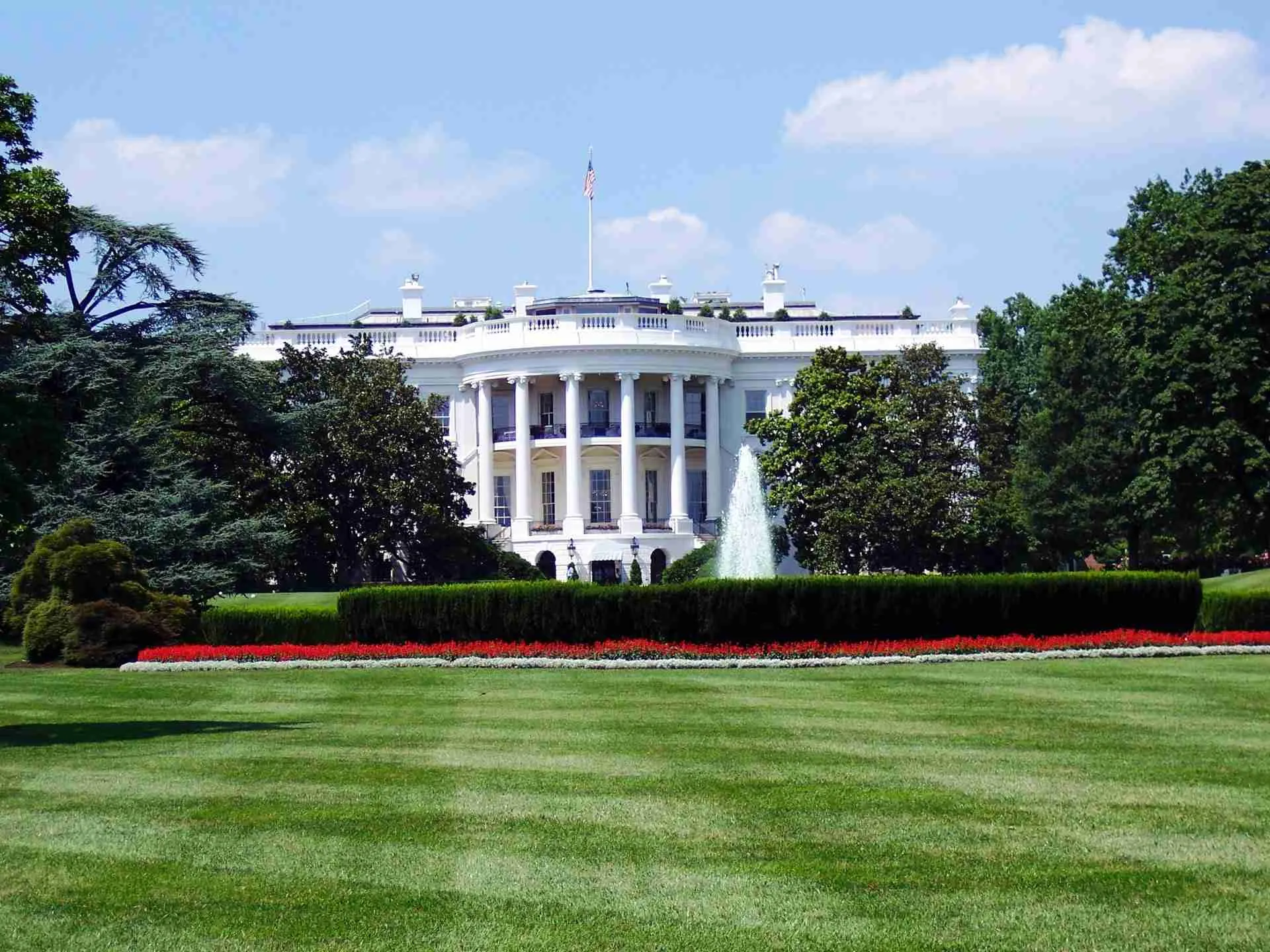 2020_US_Presidential_Elections_QiMenDunJia