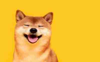 The Concept of ‘Qu Xiang’ (取象): Physical Manifestation Of Chinese Metaphysical Laws In BaZi & Feng Shui