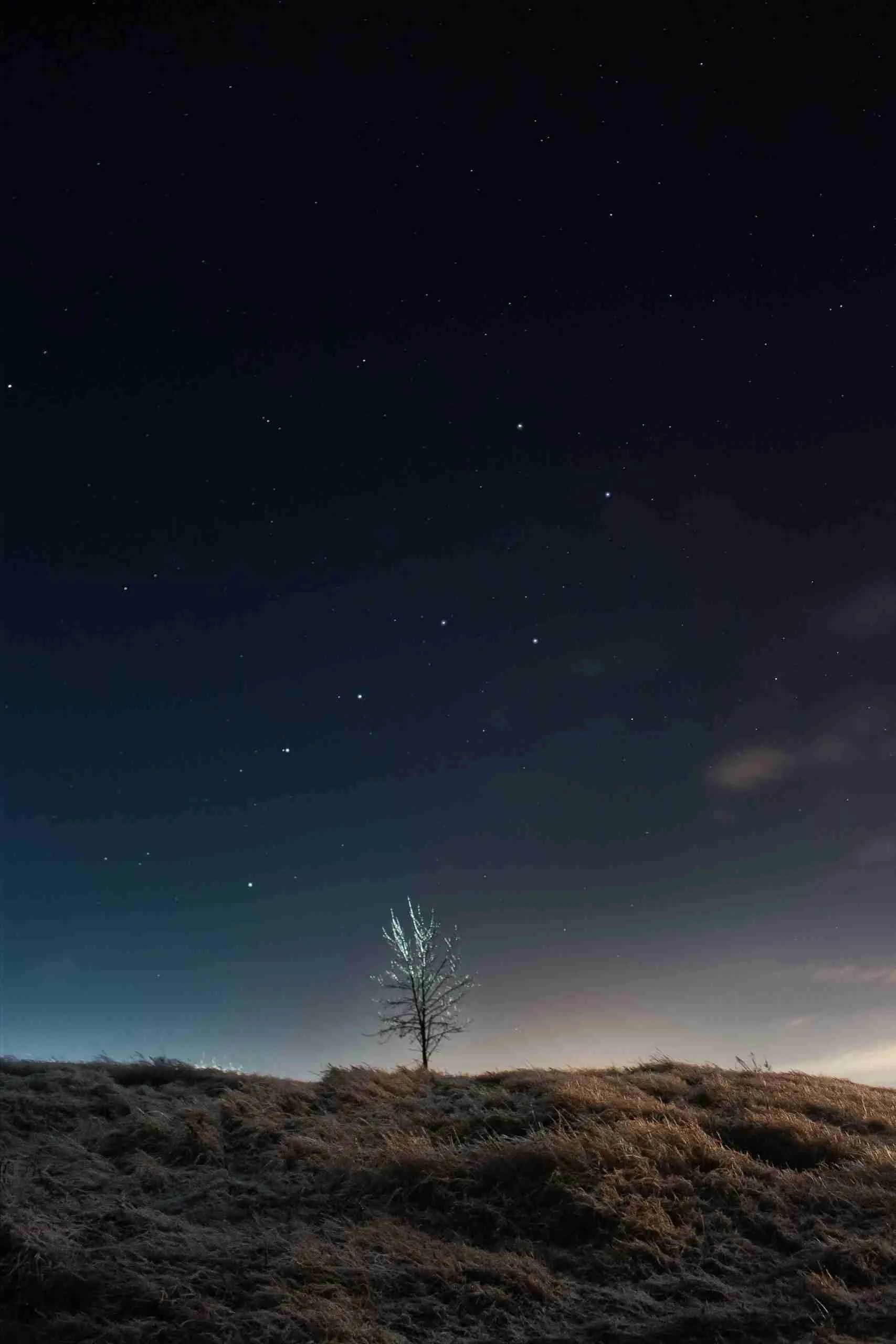 nadiia-ploshchenko-rQLY5fKHOrk-unsplash zi_wei_dou_shu_big_dipper