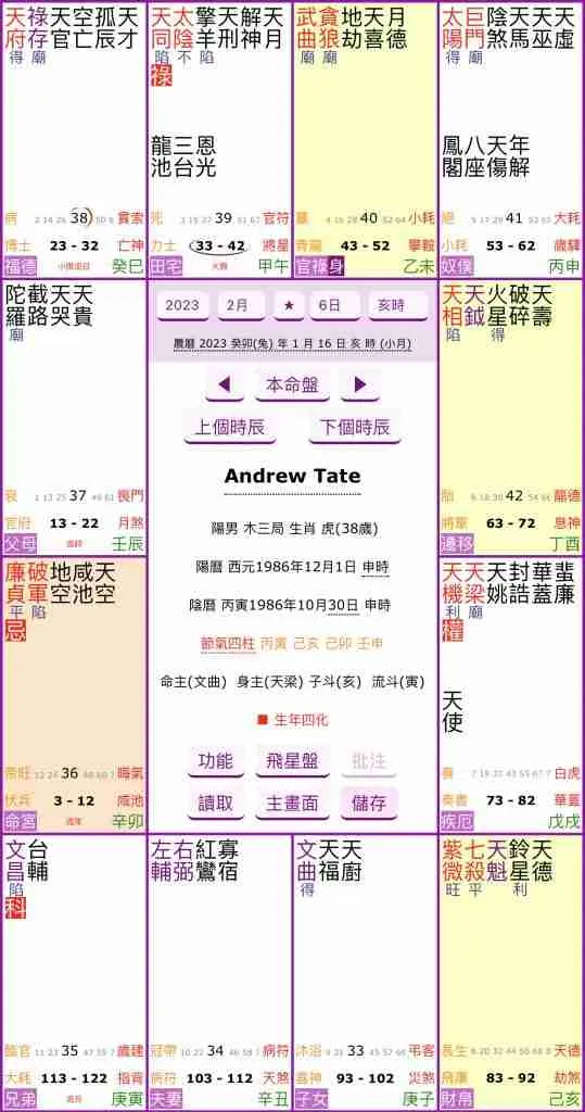 Andrew Tate's Zi Wei Dou Shu Chart