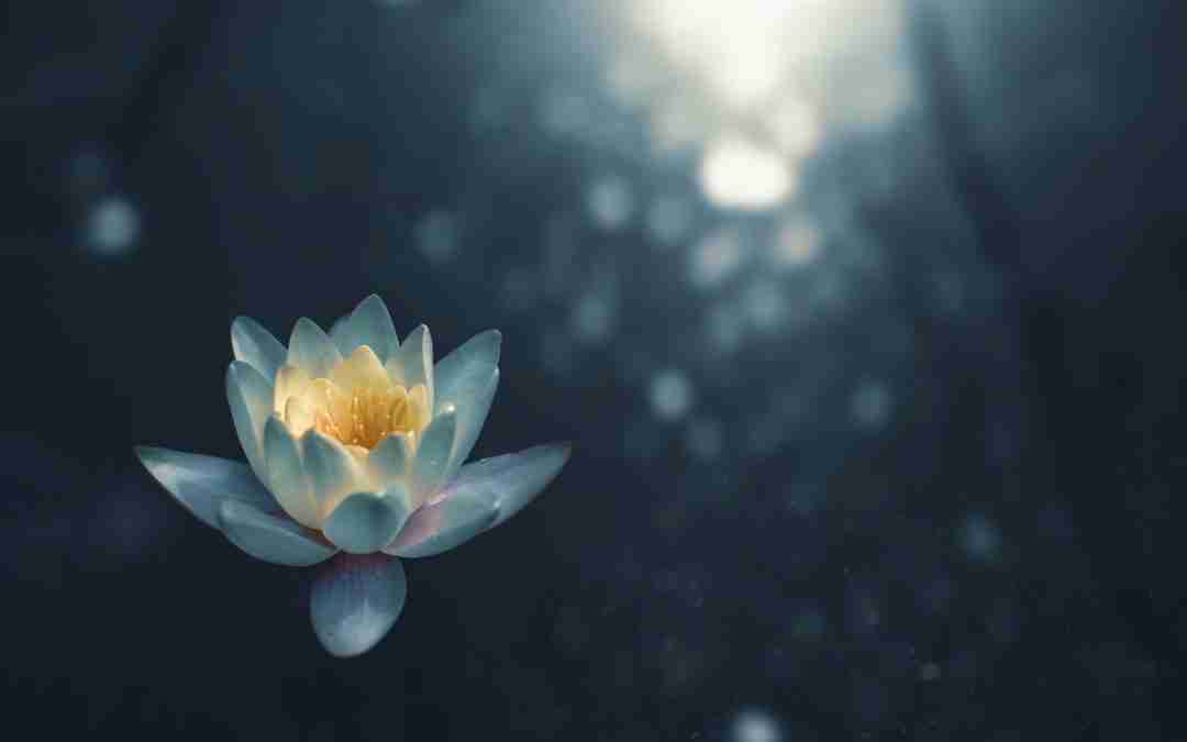 Astrology’s Purpose & The Pitfalls Of Spiritual Narcissism