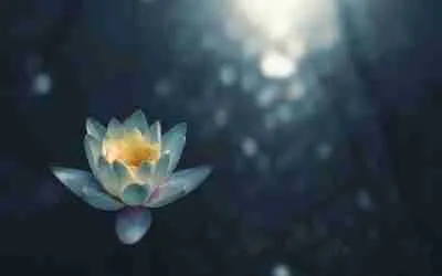 Astrology’s Purpose & The Pitfalls Of Spiritual Narcissism