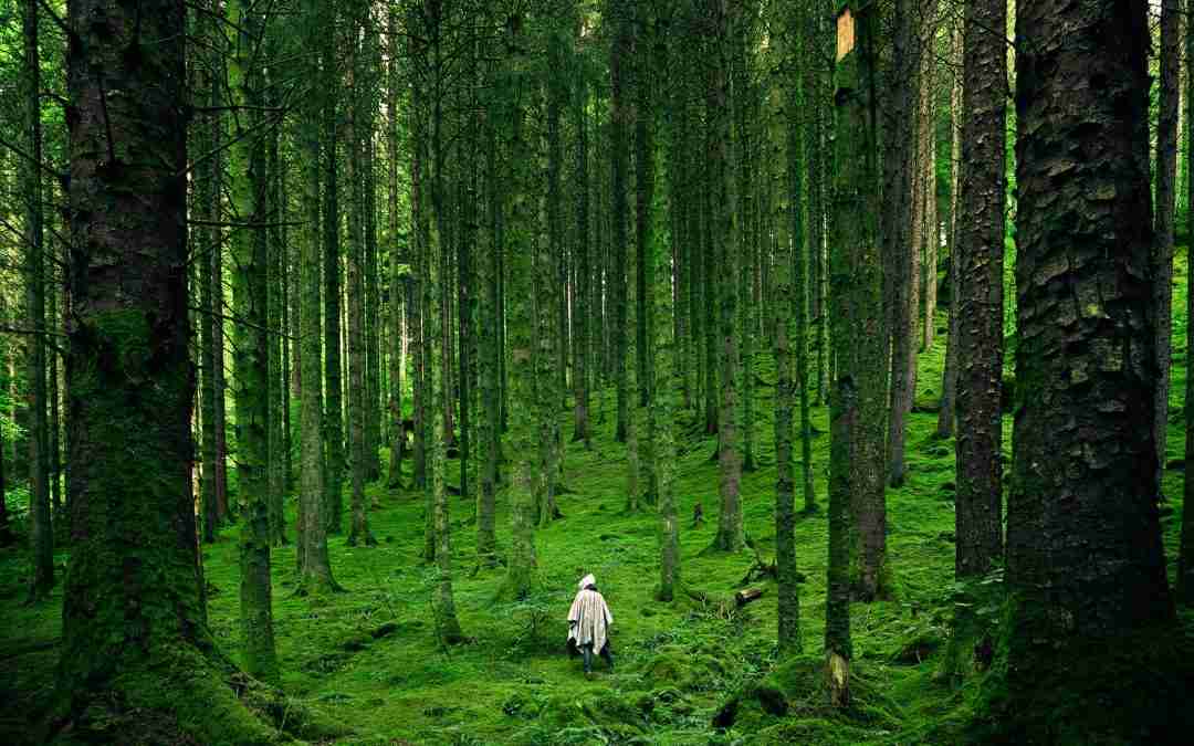 Astrology’s Take On Good, Evil, Lessons, And Living Effectively