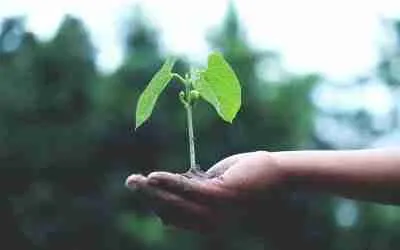 Nurture vs. Nature: An Astrologer’s Perspective