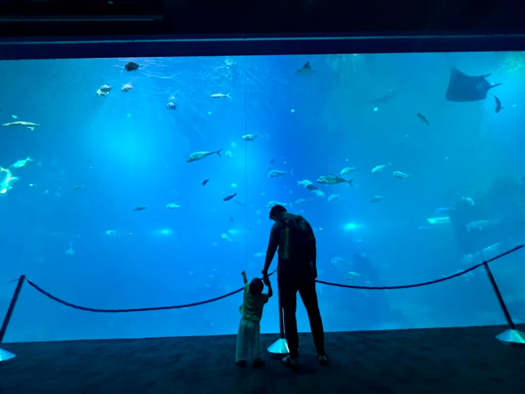 Stepping Into My 40th Solar Return With Absolute Sagely Sass